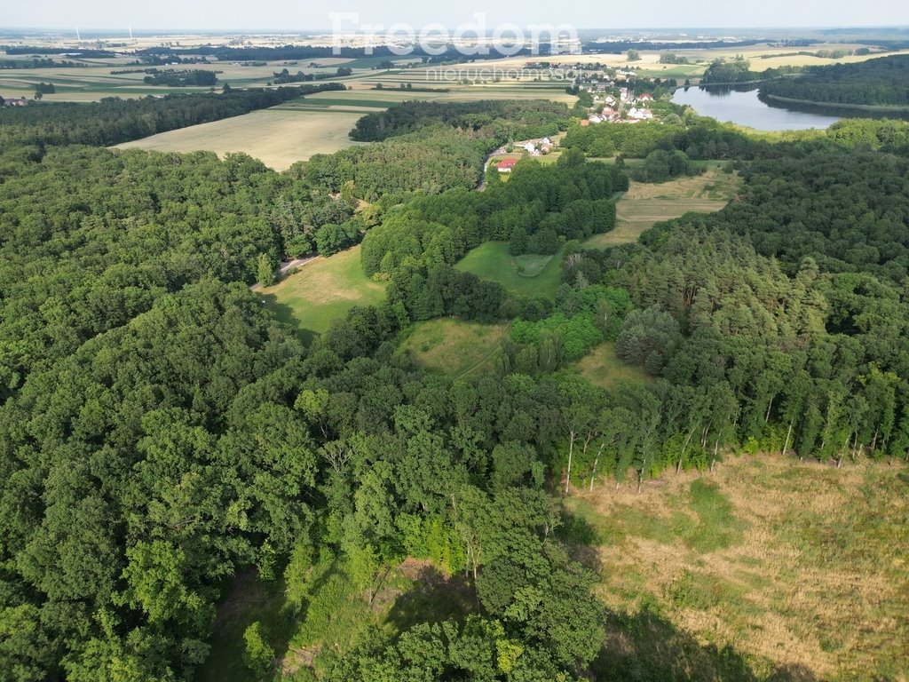 Działka inna na sprzedaż Dolsk  15 000m2 Foto 5