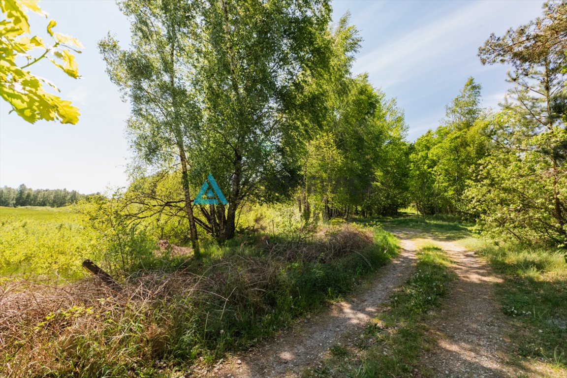 Działka rekreacyjna na sprzedaż Sarnowy  4 500m2 Foto 4