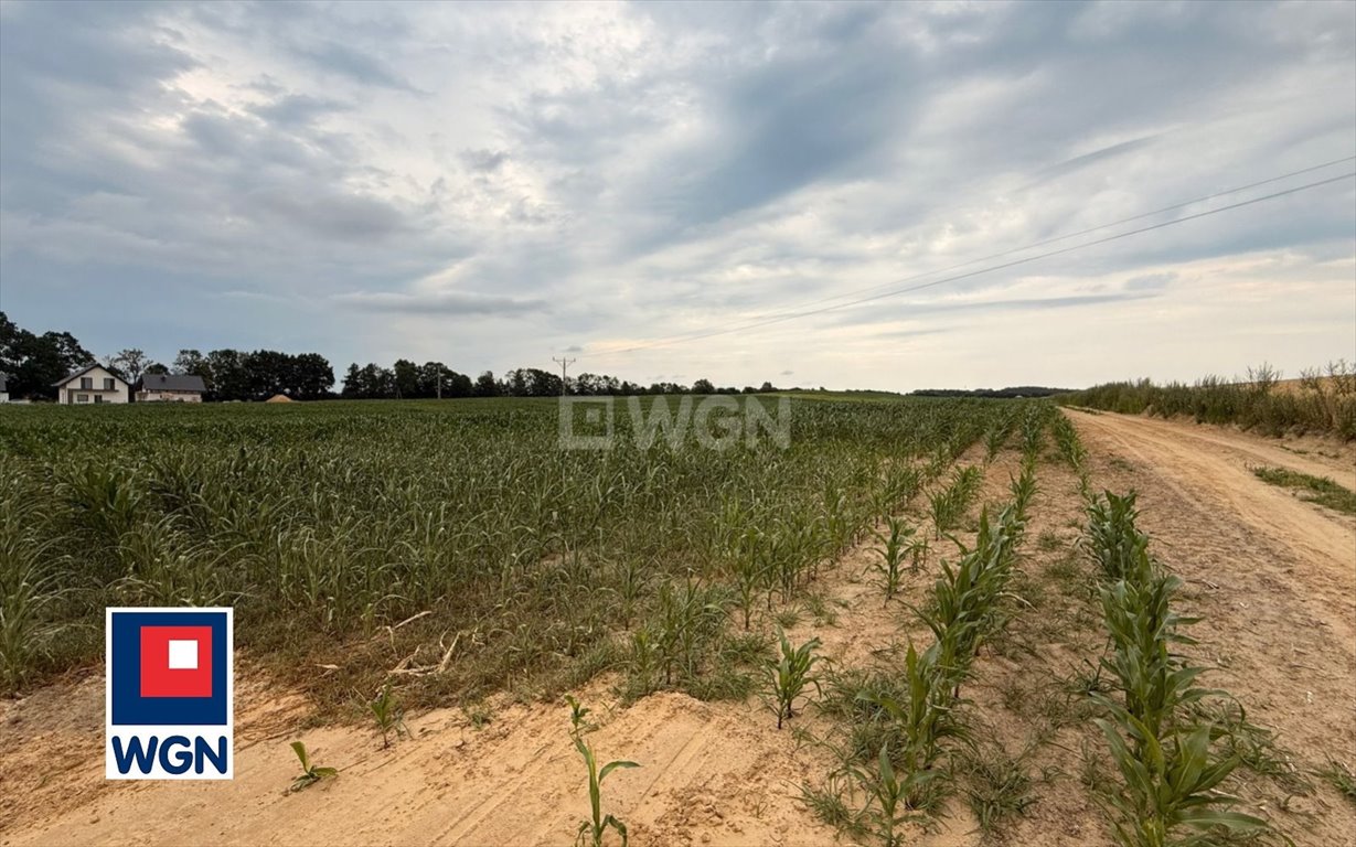 Działka budowlana 1000 m2 z warunkami zabudowy, prąd, blisko miasta Zawonia, Zawonia, Tarnowiec  1 000m2 Foto 1