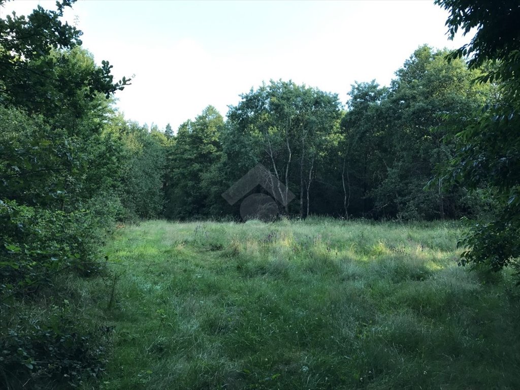 Działka rekreacyjna na sprzedaż Rusocice  2 700m2 Foto 1