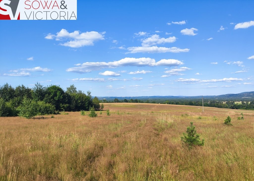 Działka budowlana na sprzedaż Pobiedna  1 114m2 Foto 4