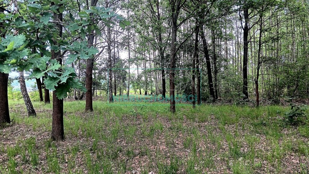 Działka budowlana na sprzedaż Budy-Grzybek  11 048m2 Foto 1