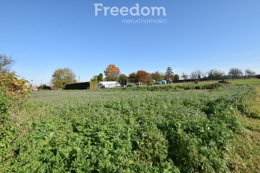 Mieszkanie trzypokojowe na sprzedaż Namysłów  66m2 Foto 9