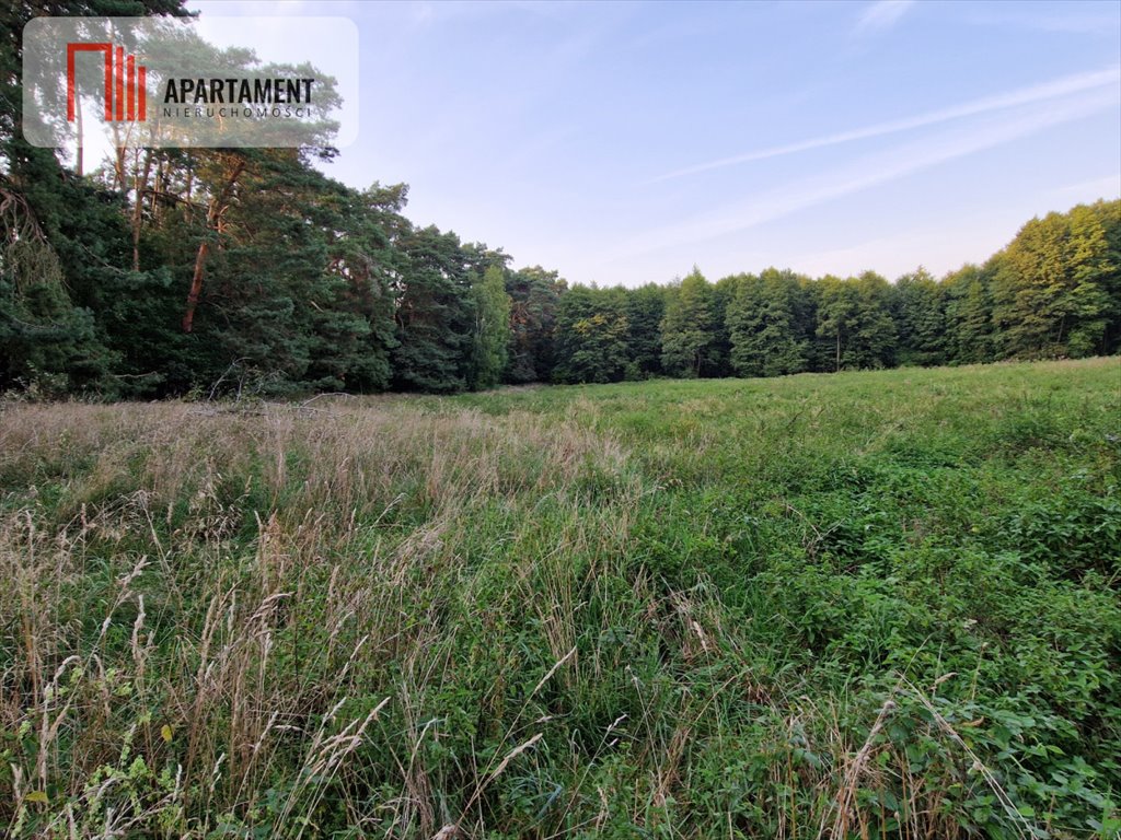 Działka gospodarstwo rolne na sprzedaż Gościeszyn  18 300m2 Foto 9