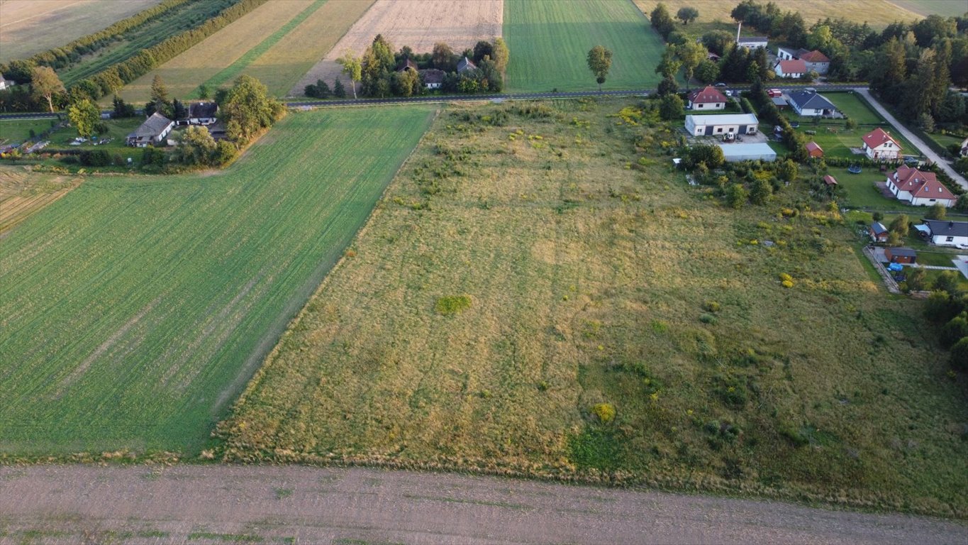 Działka budowlana na sprzedaż Głobino, Pogodna  13 800m2 Foto 7