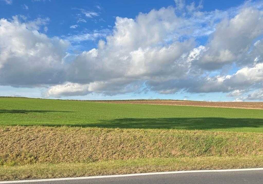 Działka inna na sprzedaż Szczepanów, Szczepanów  1m2 Foto 3