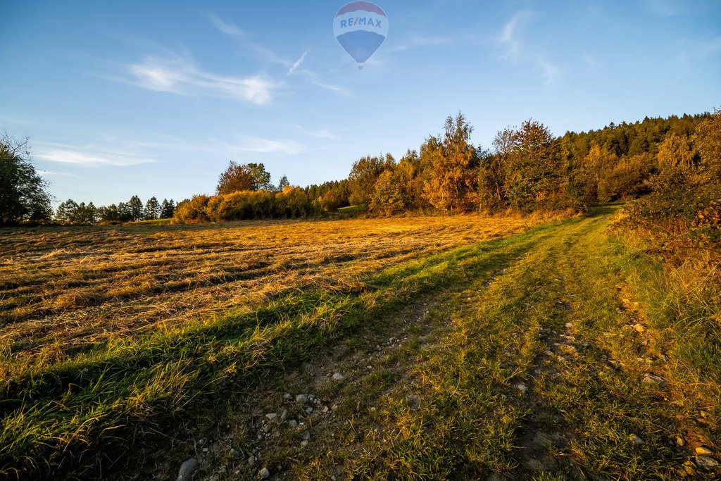 Działka budowlana na sprzedaż Łostówka  2 946m2 Foto 18