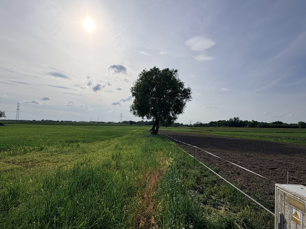 Działka pod inwestycję w Przęsocinie – 4606 m², możliwość podziału Przęsocin  4 606m2 Foto 1