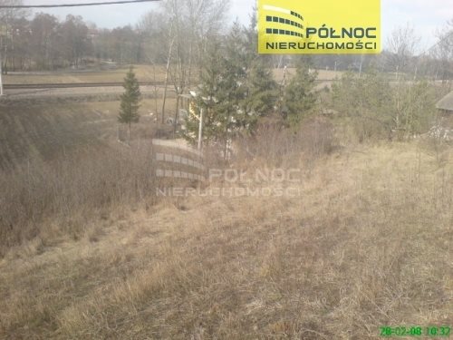 Działka budowlana na sprzedaż Orłów  10 271m2 Foto 3