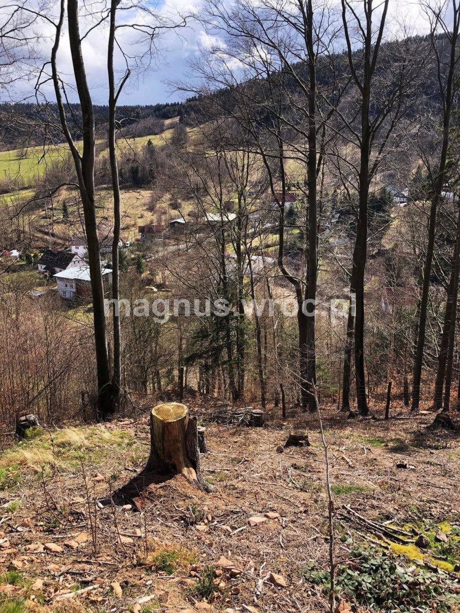 Działka budowlana na sprzedaż Łomnica  2 539m2 Foto 12