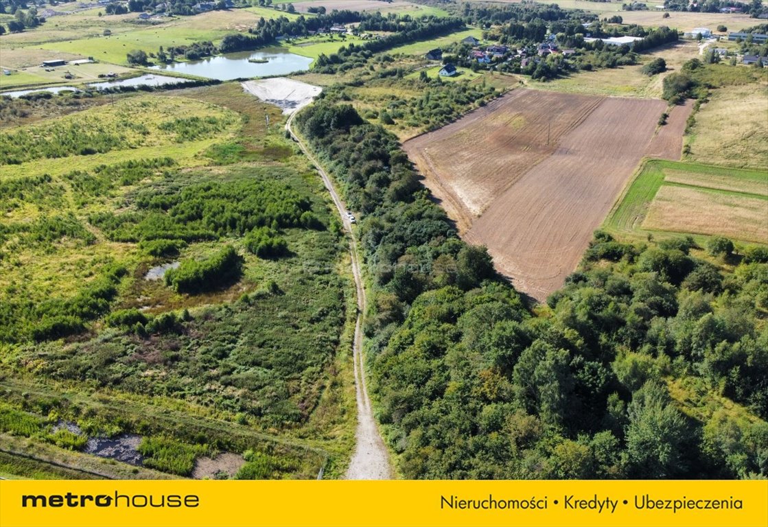 Działka rolna na sprzedaż Niekanin  19 000m2 Foto 8