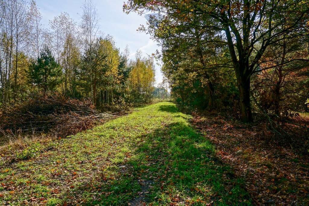 Działka budowlana na sprzedaż Puszcza Mariańska, Akacjowa  1 300m2 Foto 1