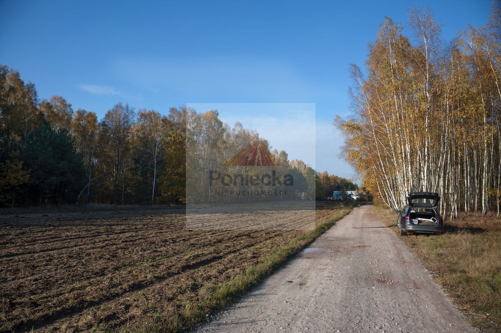 Działka budowlana na sprzedaż Borowiec, Księżnej Diany  3 034m2 Foto 2