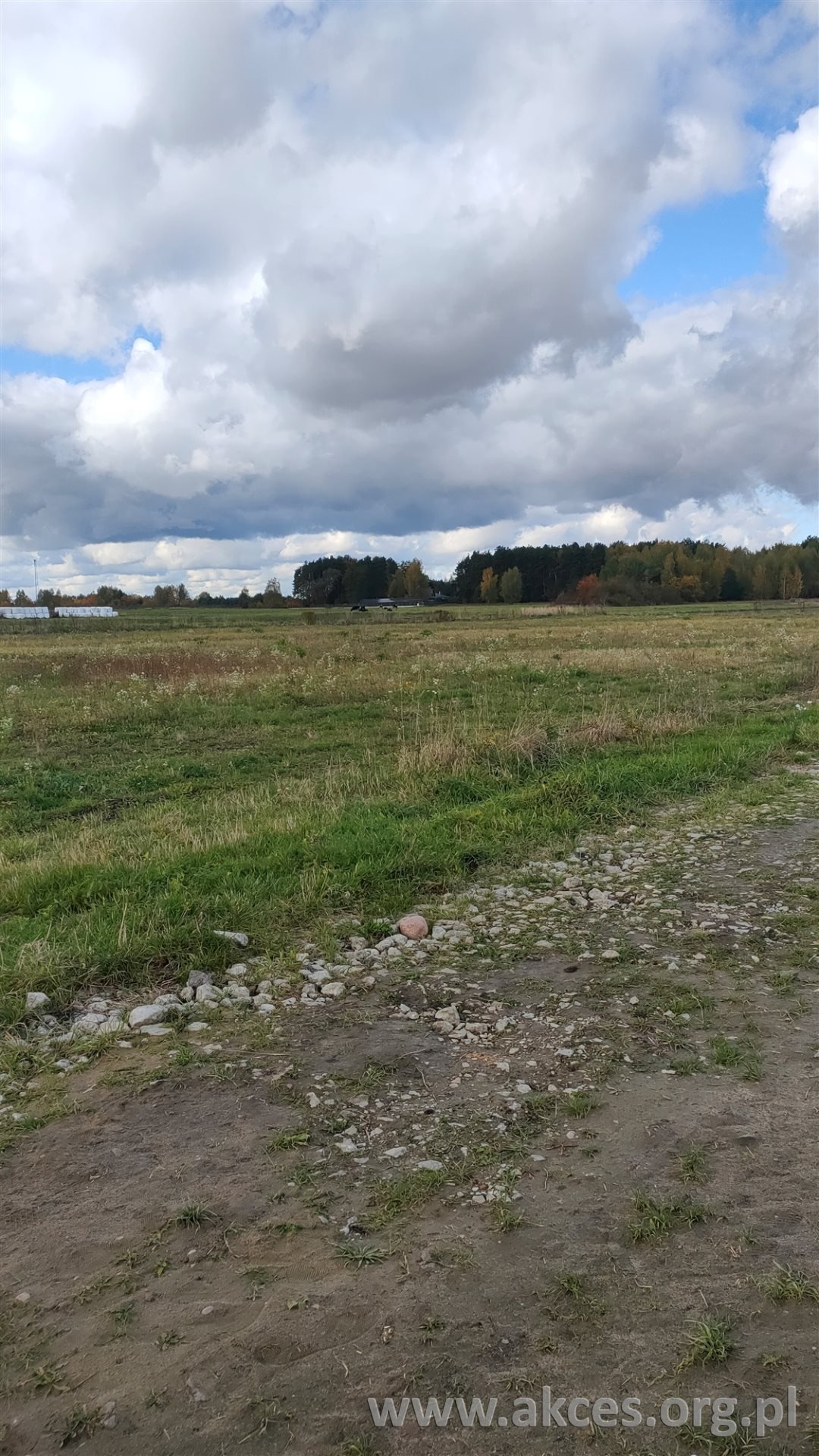 Działka budowlana na sprzedaż Mroków, Szkolna  4 900m2 Foto 1