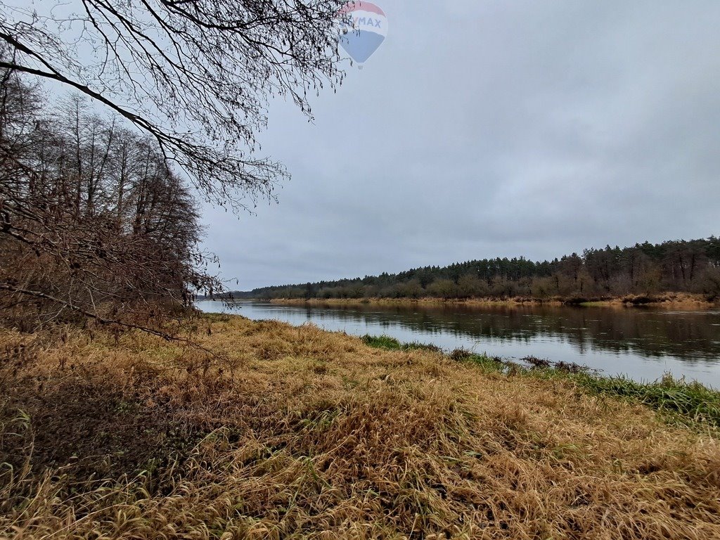 Działka budowlana na sprzedaż Paulinowo, Królowej Bony  5 000m2 Foto 5