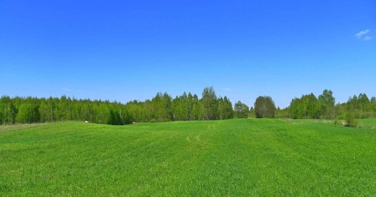 Działka rolna na sprzedaż Krasnopol  3 000m2 Foto 7