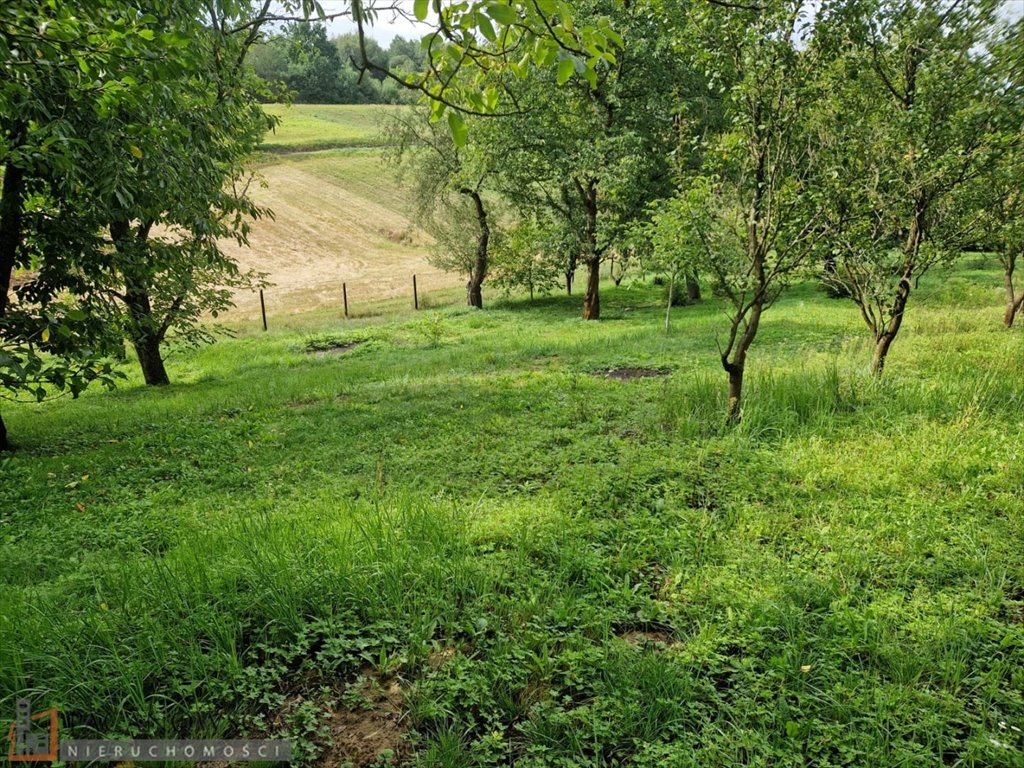 Zdjęcie 5