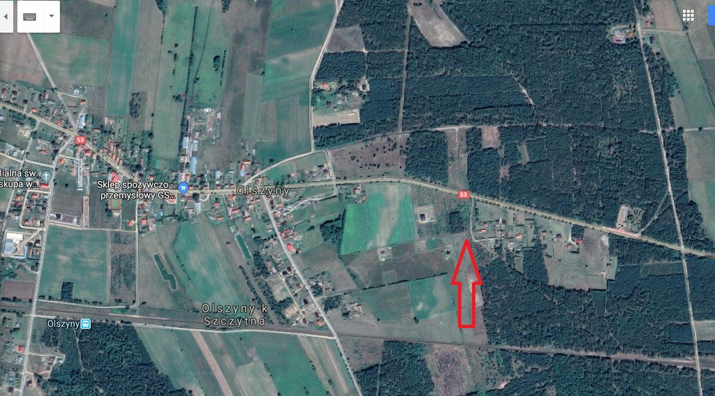 Działka inna na sprzedaż Olszyny  3 000m2 Foto 1