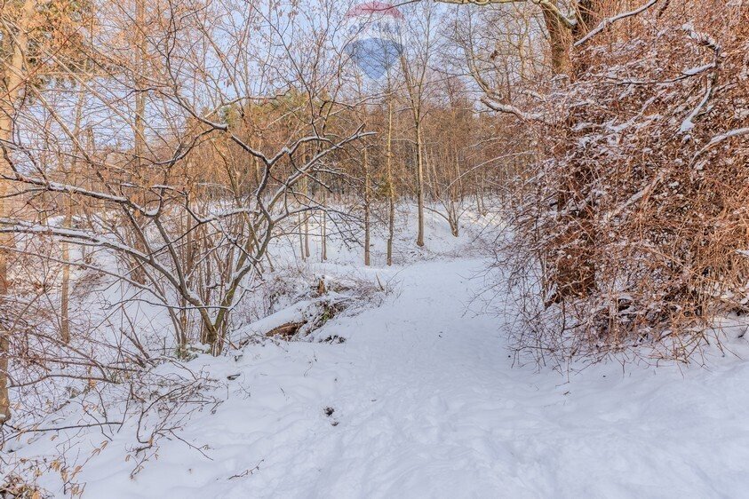 Działka budowlana na sprzedaż Bielsko-Biała, Narciarska  5 474m2 Foto 11