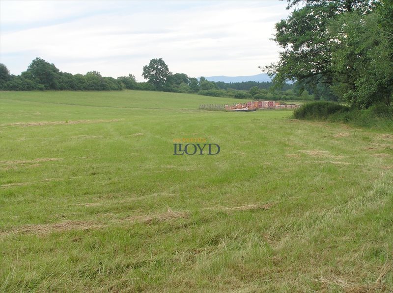 Działka budowlana na sprzedaż Stary Wielisław, Wybickiego 1 256m2 Foto 1 Działka budowlana na sprzedaż Stary Wielisław, Wybickiego 1 256m2 Foto 1