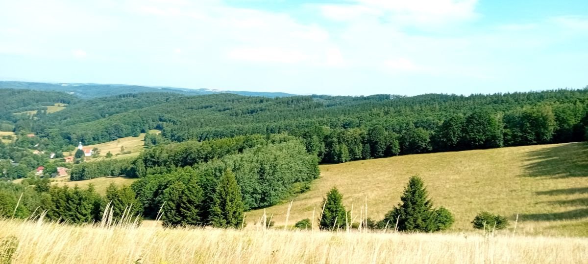 Działka budowlana na sprzedaż Michałkowa  1 200m2 Foto 1