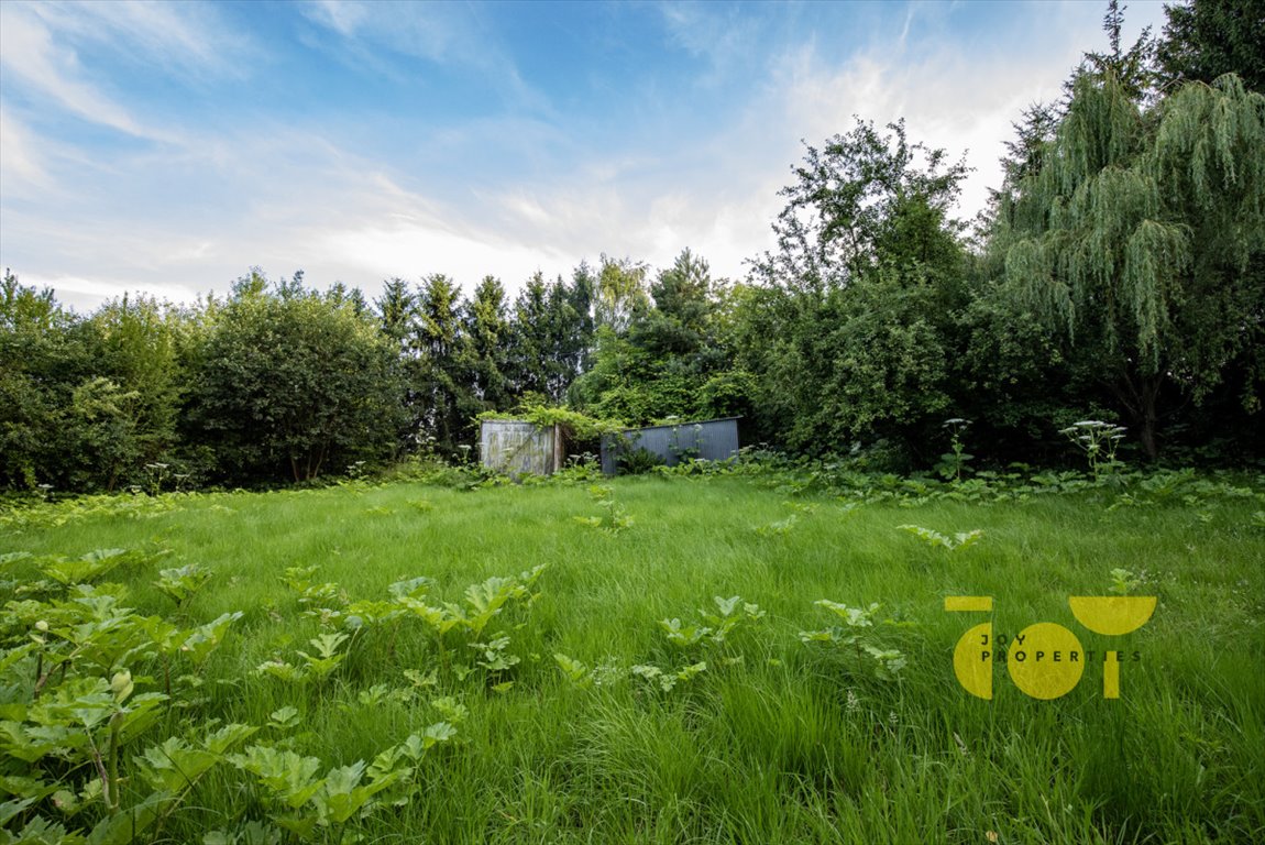 Działka budowlana na sprzedaż Brzezie  9 300m2 Foto 12