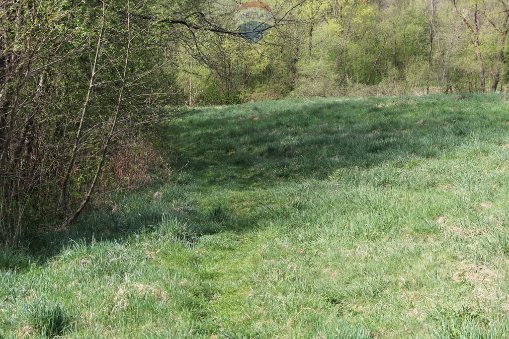 Działka budowlana na sprzedaż Skomielna Biała  14 949m2 Foto 18