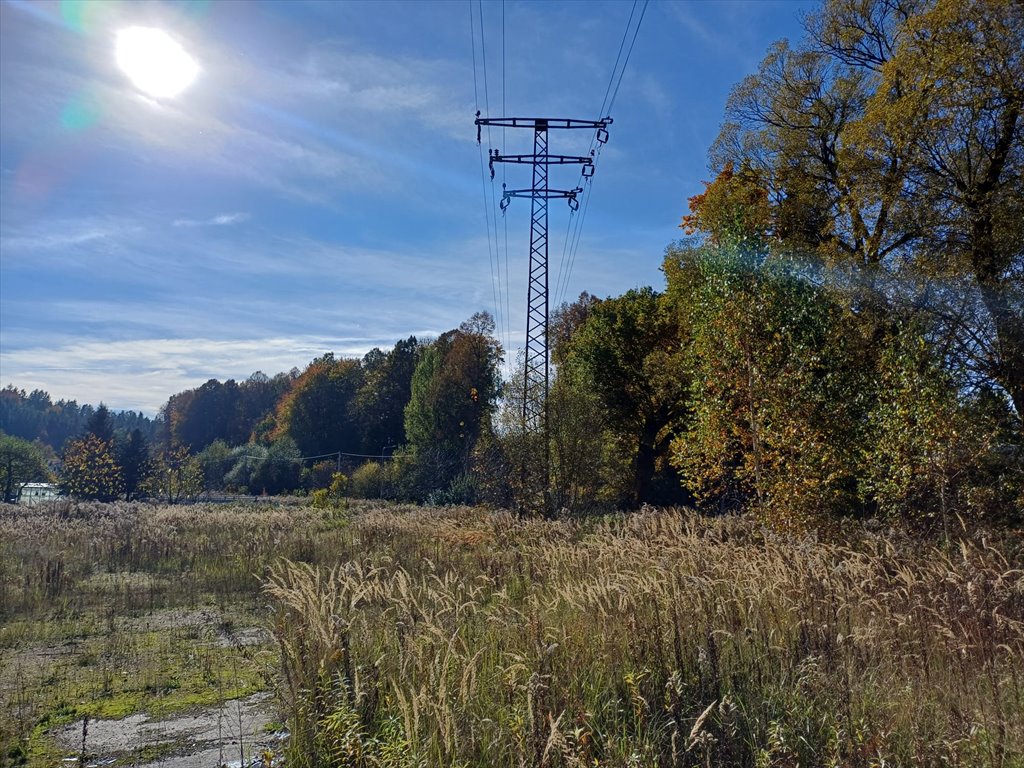 Na sprzedaż działka inwestycyjna 27 800 m² przy DK30 w Olszynie Olszyna, DK30  27 800m2 Foto 1
