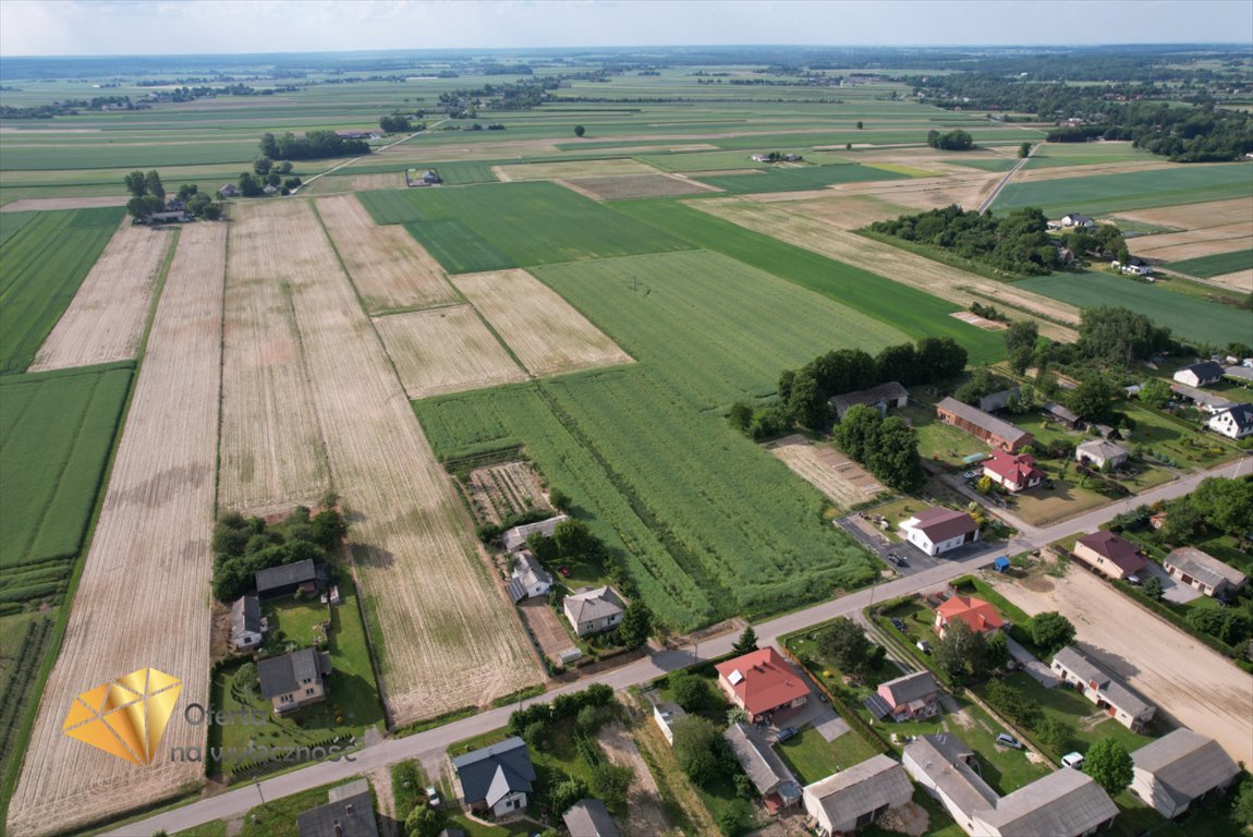 Działka budowlana na sprzedaż Wojciechów  2 000m2 Foto 4