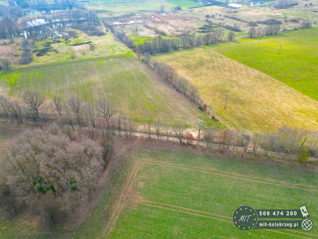 Działka budowlana na sprzedaż Nieżyn  4 800m2 Foto 6