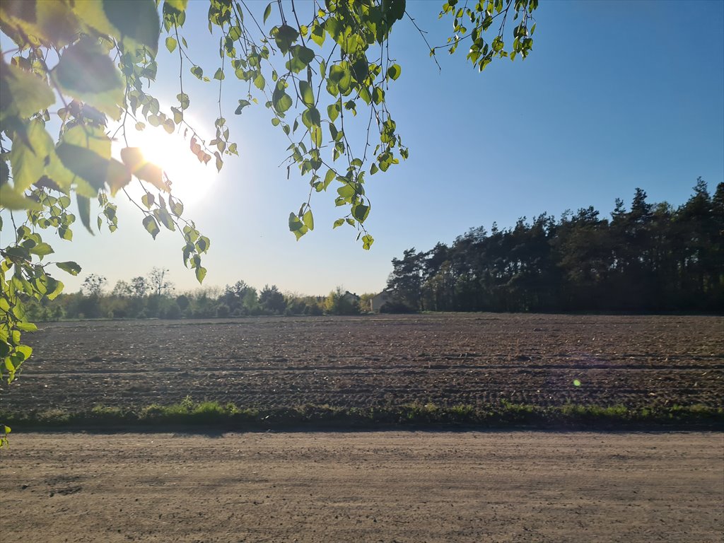 Działka budowlana na sprzedaż Sochaczew, Wypalenisko, Przylasek  3 820m2 Foto 4