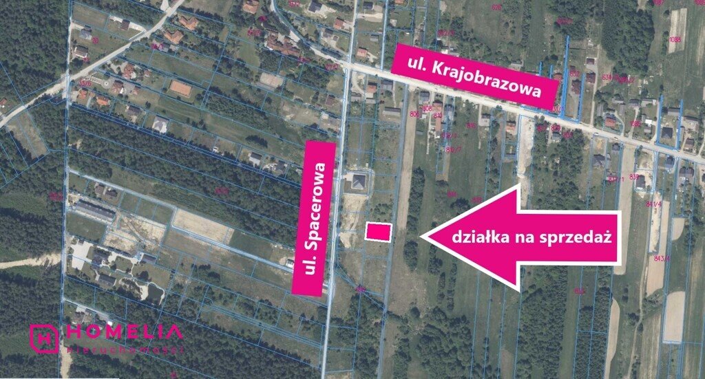 Działka budowlana na sprzedaż Masłów Drugi  1 053m2 Foto 1
