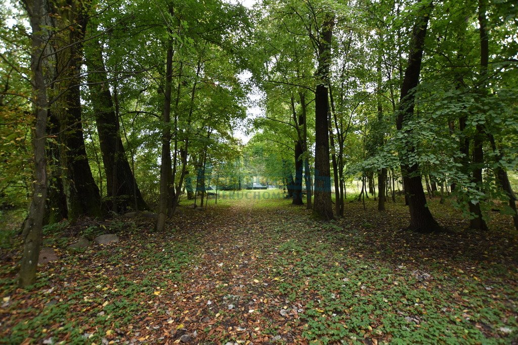 Działka budowlana na sprzedaż Staniszewice  31 800m2 Foto 19