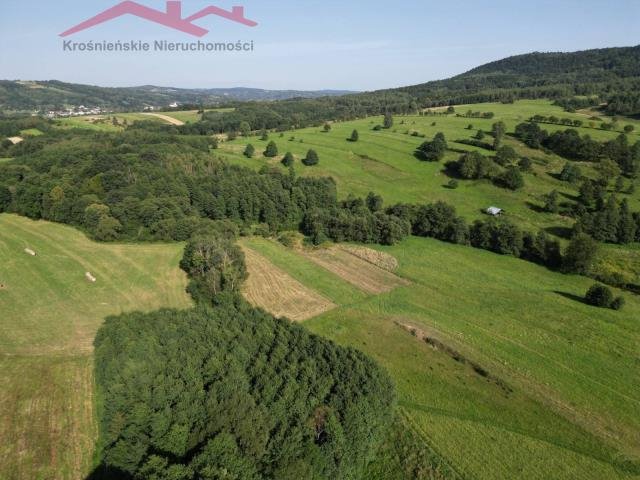 Działka rolna 1800 m² od 9 tys. zł – idealna pod rolnika Lutcza  1 800m2 Foto 1