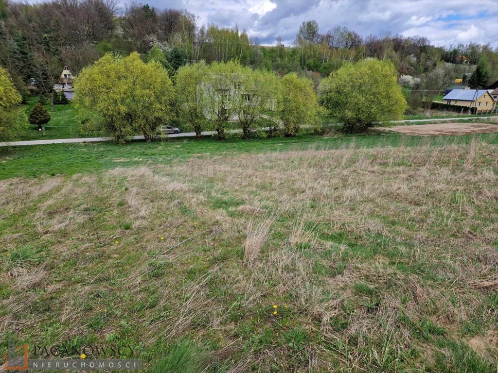 Działka inna na sprzedaż Maszków  1 450m2 Foto 6