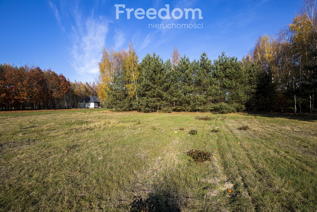 Działka budowlana na sprzedaż Tarnobrzeg, Ocice, Ocicka  2 800m2 Foto 9