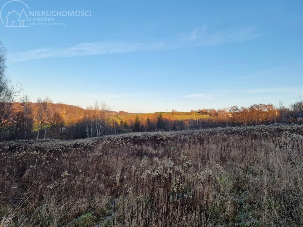 Działka budowlana na sprzedaż Gromnik  1 282m2 Foto 5