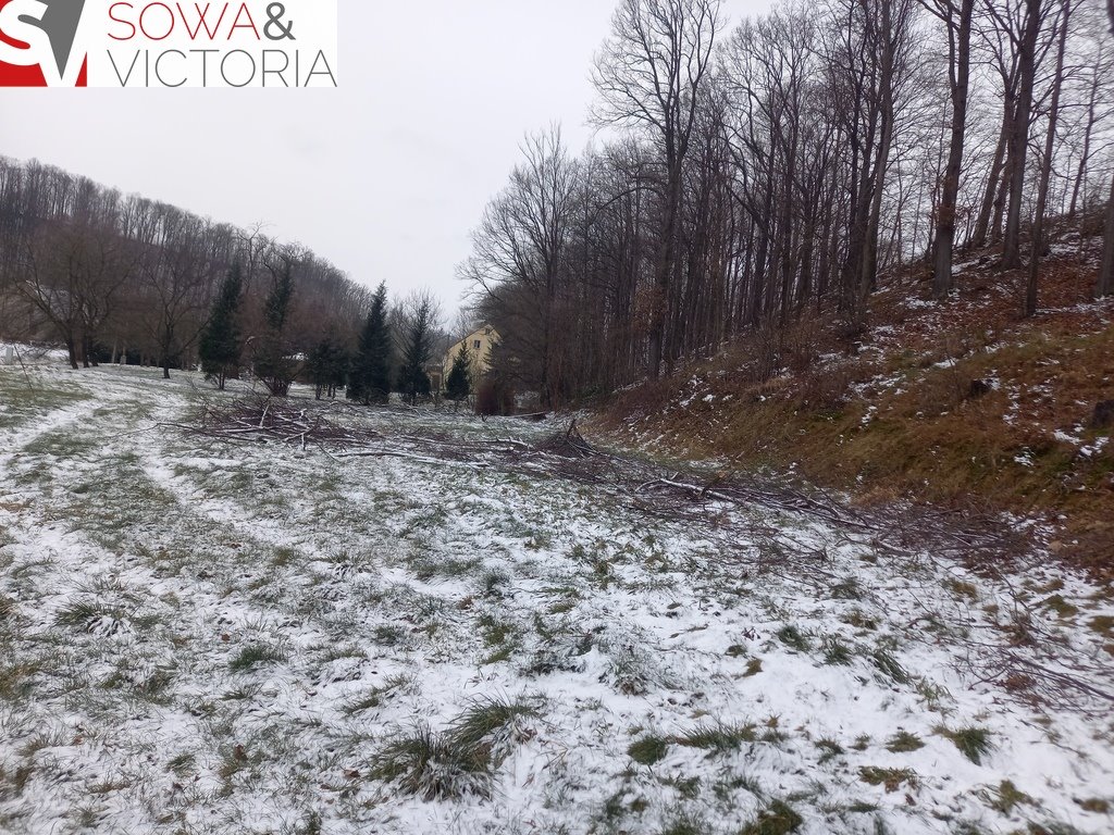 Działka budowlana na sprzedaż Chwaliszów  5 500m2 Foto 1