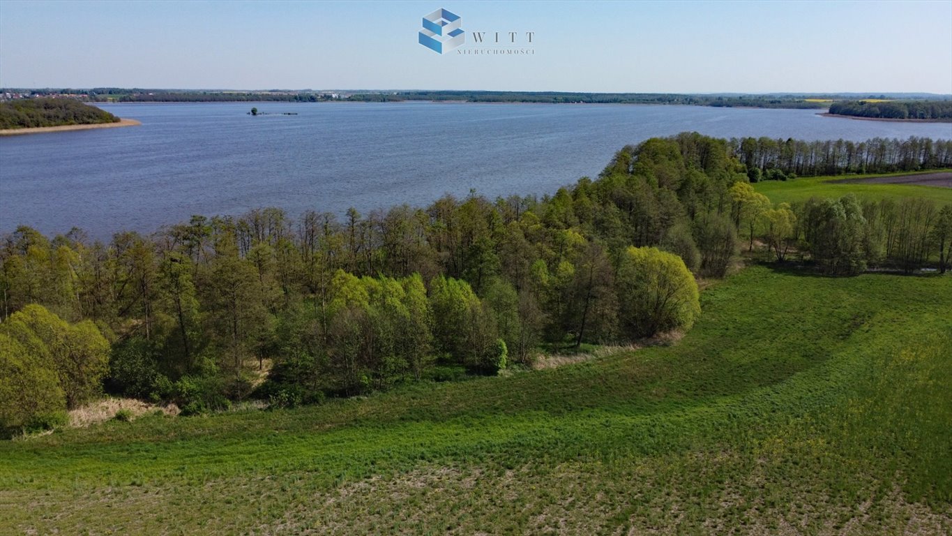 Działka inna na sprzedaż Zalewo  3 000m2 Foto 15