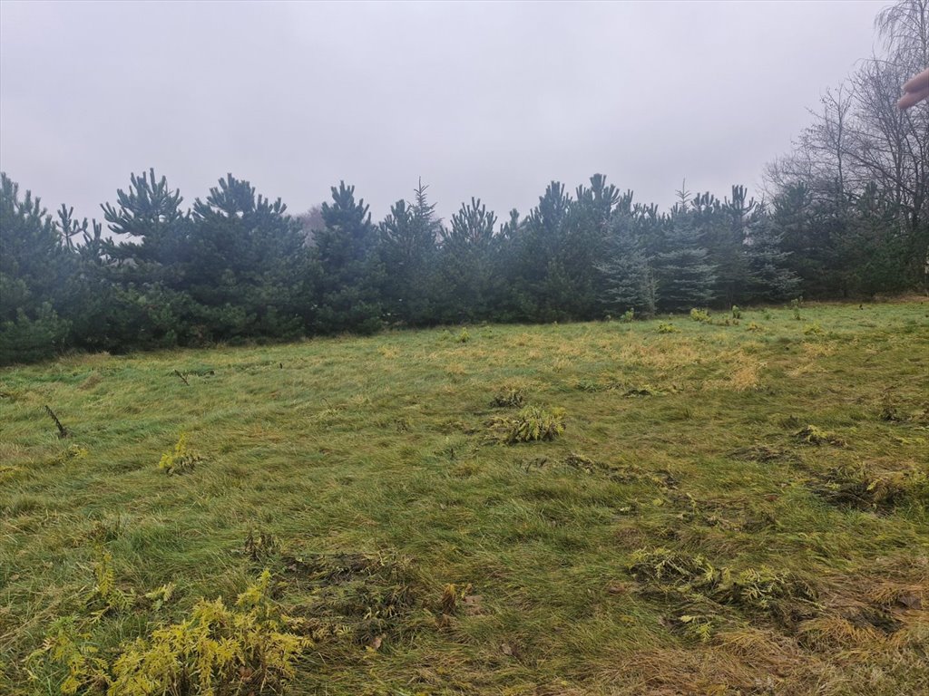 Działka 3034 m² pod inwestycję lub rekreację w Orzechówku Orzechówek  3 034m2 Foto 1