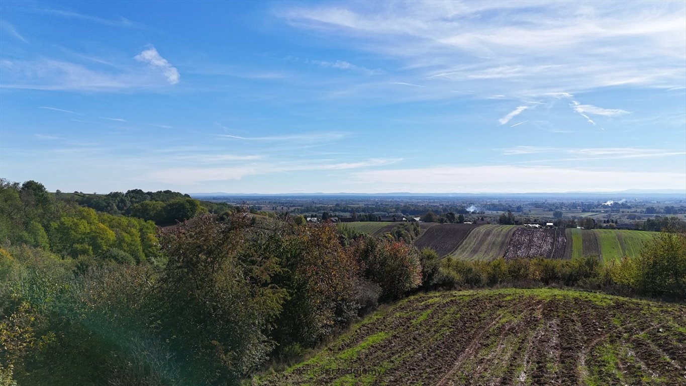 Działka rekreacyjna na sprzedaż Koszyce, Jaksice, Jaksice  750m2 Foto 5