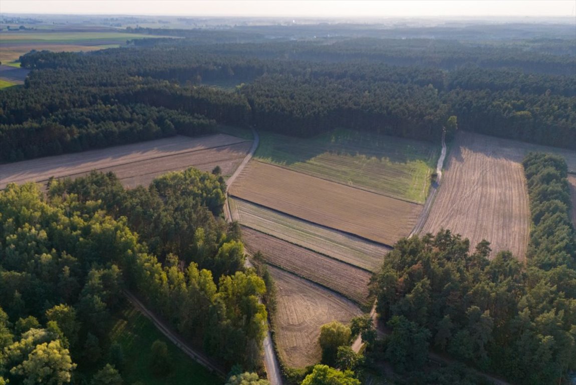 Działka rolna na sprzedaż Jesionka  2 800m2 Foto 7