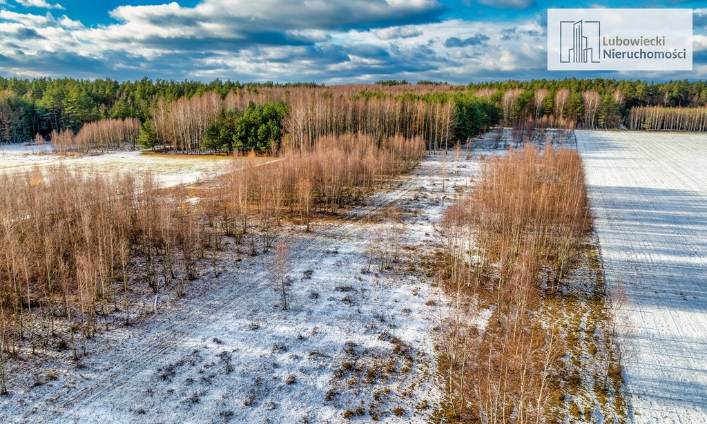 Działka rolna na sprzedaż Wilamowo  3 002m2 Foto 8