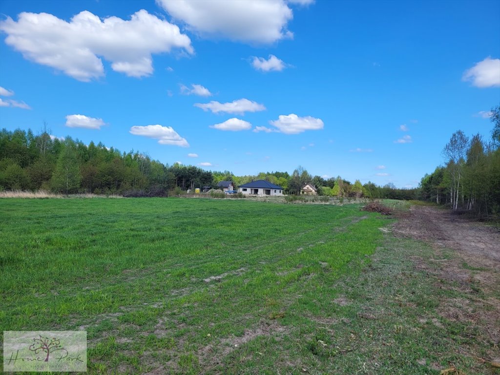 Działka inna na sprzedaż Jedlicze A  1 000m2 Foto 1