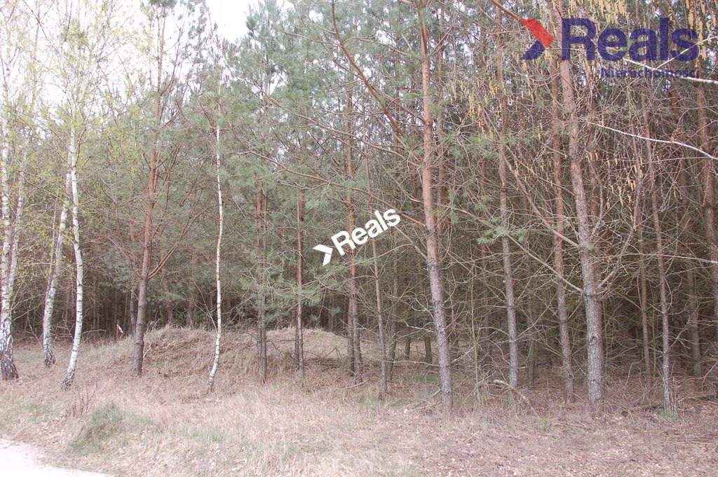 Działka leśna na sprzedaż Drzonowo Wałeckie 95 000m2 Foto 1 Działka leśna na sprzedaż Drzonowo Wałeckie 95 000m2 Foto 1