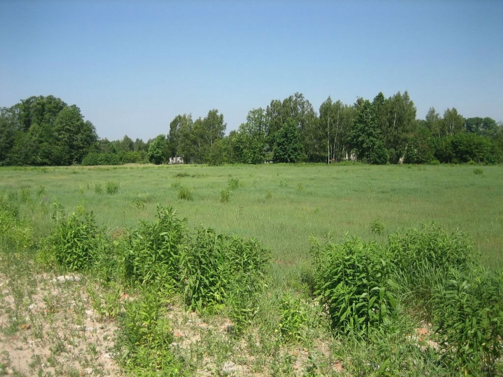 Działka budowlana na sprzedaż Łódź, Bałuty, Zimna Woda, Zimna Woda  3 600m2 Foto 6