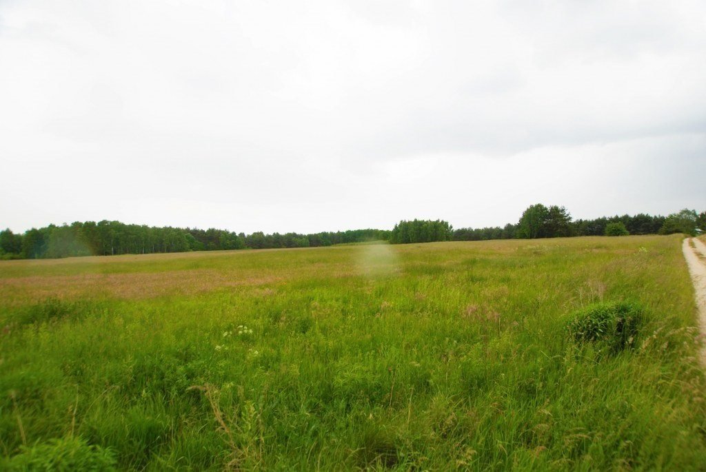 Działka budowlana na sprzedaż Lisów  975m2 Foto 1