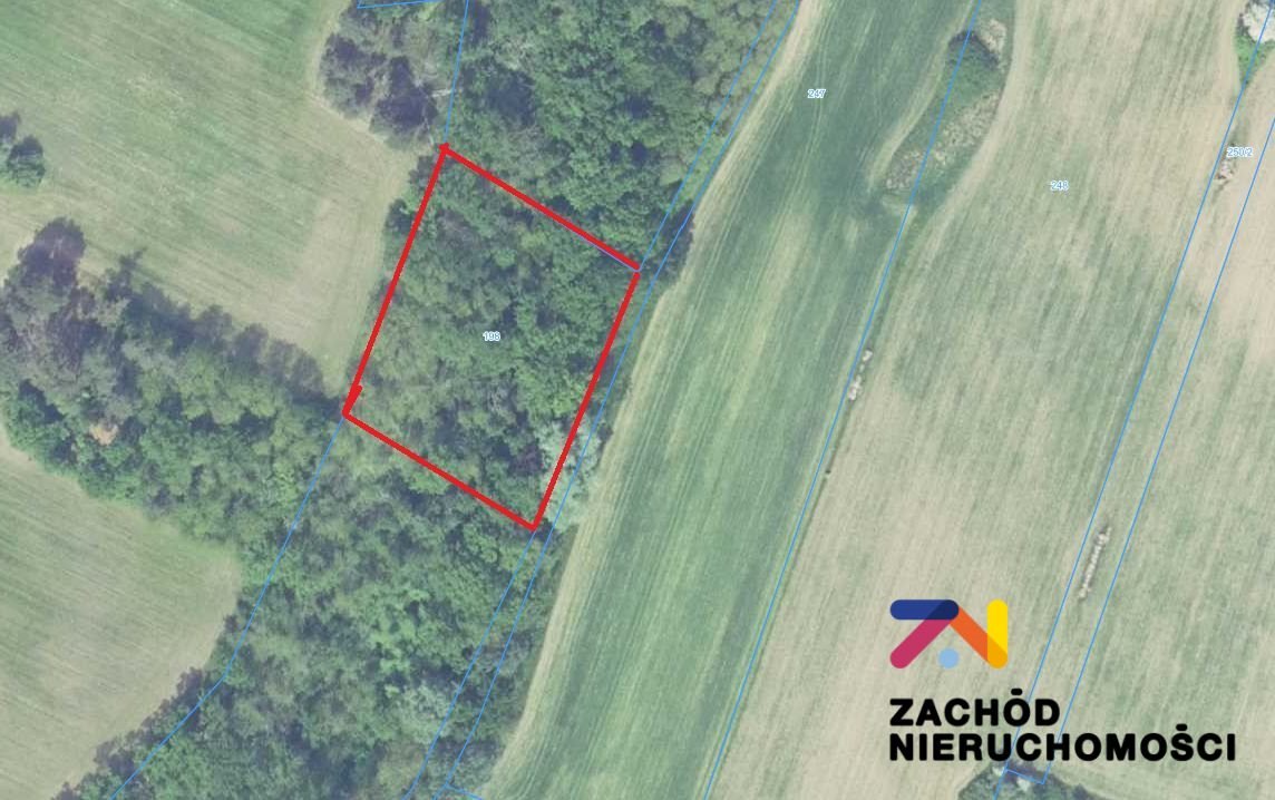 Grunt leśny 0,35 ha w Dąbrowie – idealny na inwestycję Dąbrowa  3 500m2 Foto 1