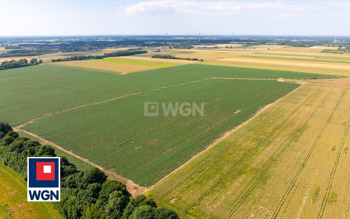 Działka budowlana na sprzedaż Słupsk, Szpilewskiego  3 031m2 Foto 7