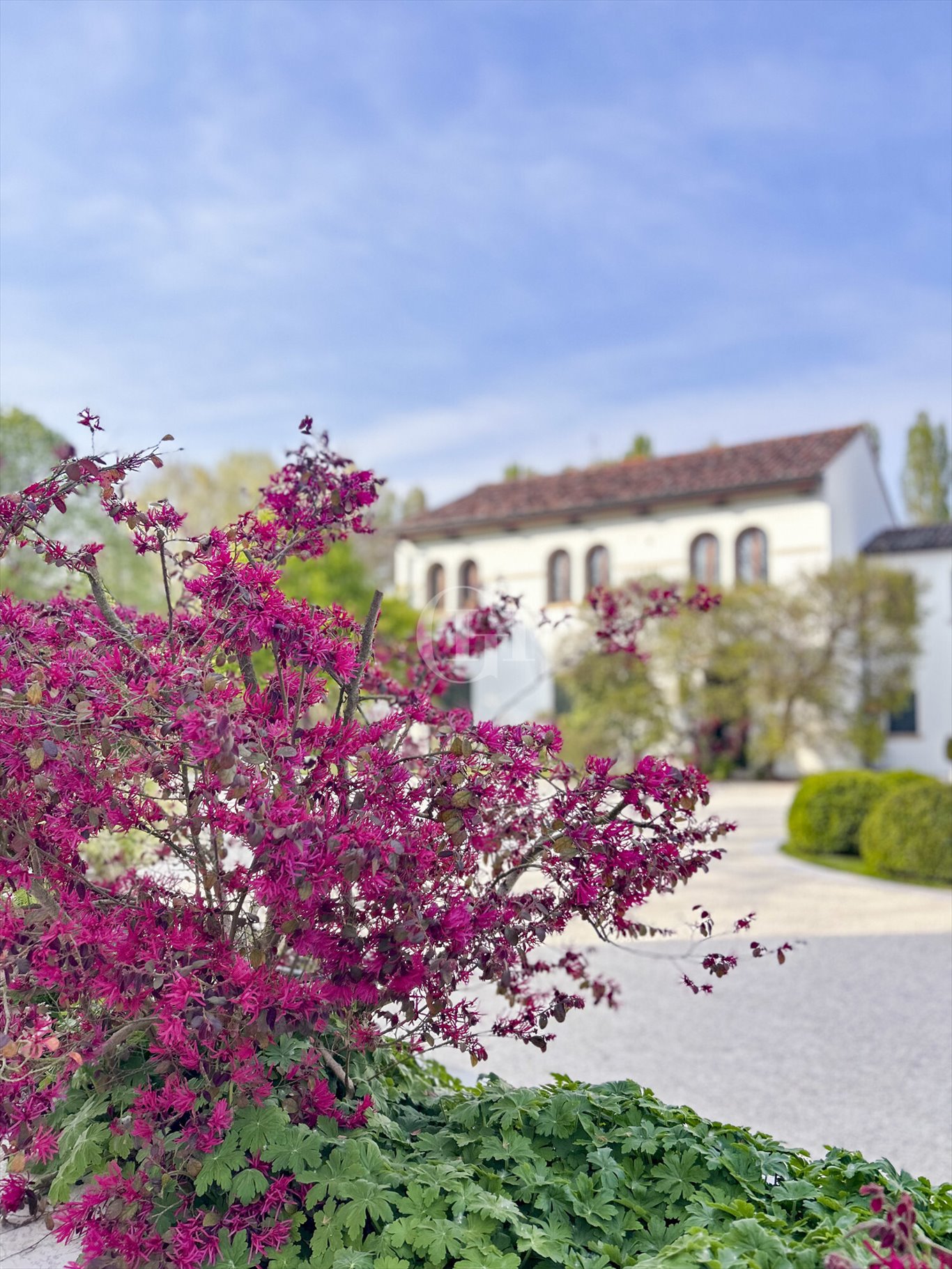 Dom na sprzedaż Włochy, Cessalto  1 000m2 Foto 1